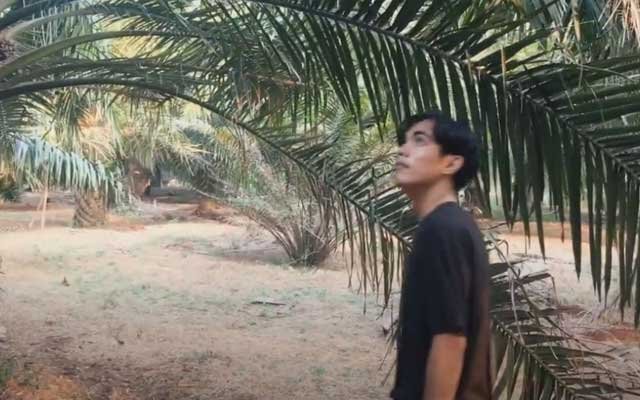 Community Economy with Oil Palm Plantation