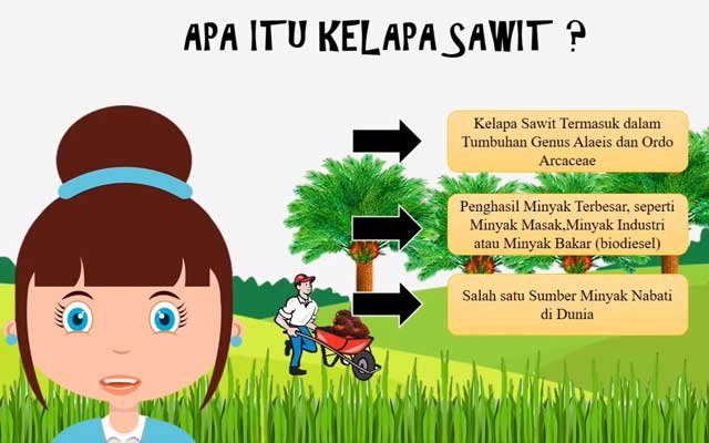 Getting to Know Palm Oil