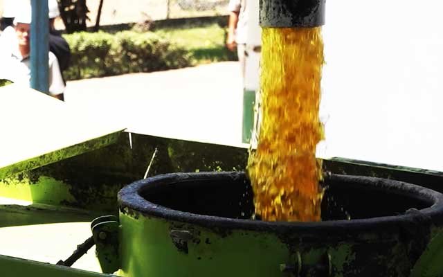 Got Better, CPO Tender at KPBN on 8 Augustus 2022