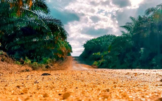 Luhut : From around 16.3 million hectares of land; 4 Million Hectares Unclear