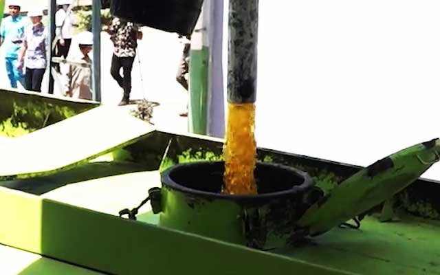 Malaysia : CPO Demands from India could be Increasing to be about 800 Thousand Tons