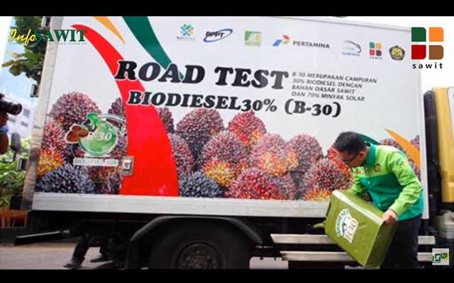 Palm Oil's Contribution to Indonesia