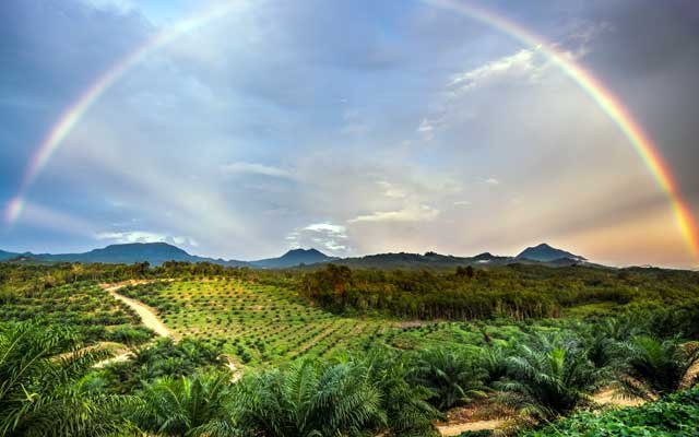 Reduce GHG: ANJ Commits to Minimize the Impact of Climate Change