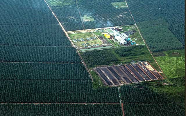 The First Half of 2022, Some Companies Get Profit