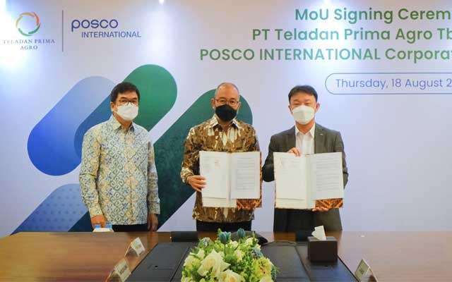 TLDN Took POSCO to Develop Downstream Sectors