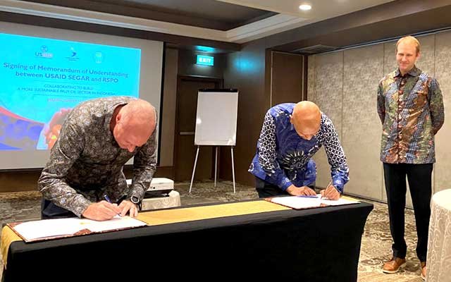 USAID SEGAR and RSPO Support More Responsible and Sustainable Palm Oil Production