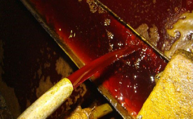 Palm Oil Price in December 2021 Could be Decreasing