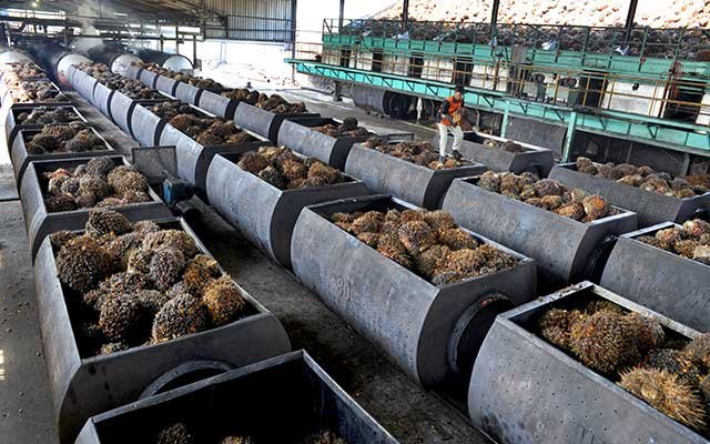 Cheap CPO, Some Mills in Malaysia Temporarily not Operate