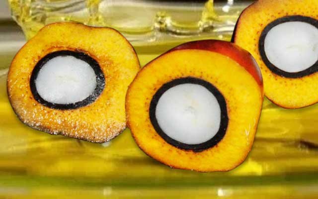 Gets Better to be Rp 9.375/Kg, CPO Tender at KPBN on 26 July 2022