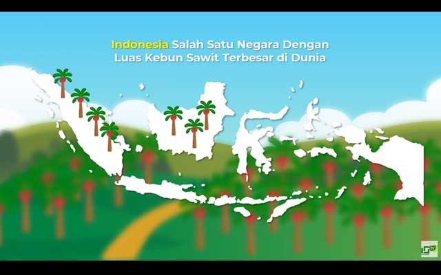 Palm Oil Is Indonesia