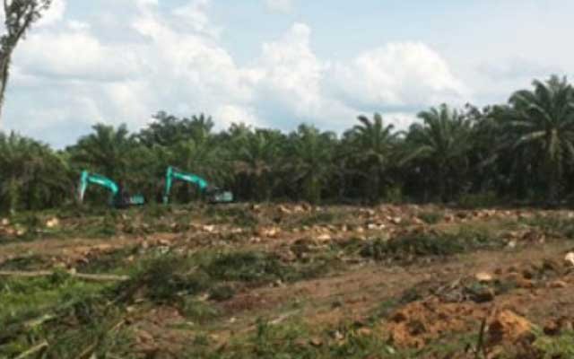 Reached 21% of the Potential : SRP Realization in Paser and Kutai Kartanegara