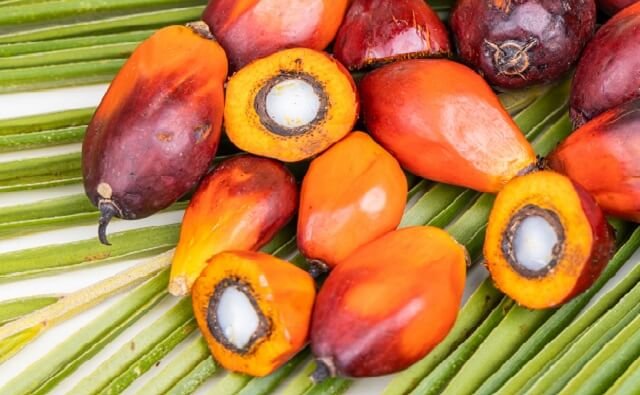 Babis and Pregnant Women around Palm Oil Plantations Got Supplement to Prevent Stunting