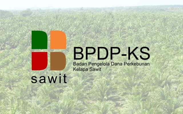 Covering 30,148 hectares, SRP Technical Recommendation in Aceh By June 2022