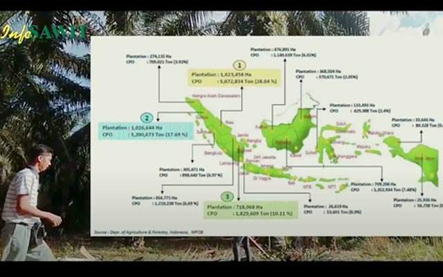 Palm Oil For My Country
