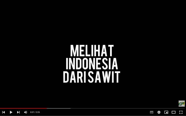 Seeing Indonesia From Palm Oil 3