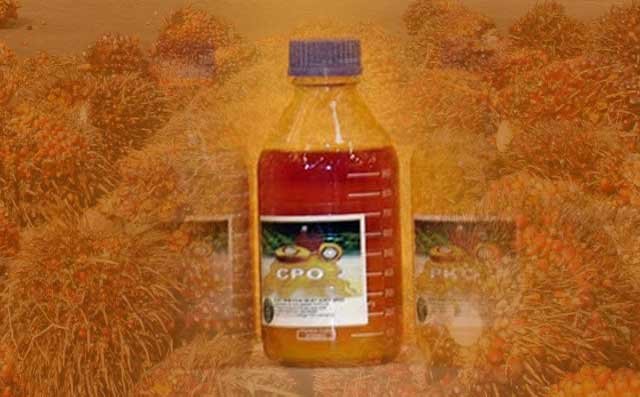 CPO &  Soyoil Price Got Cheaper