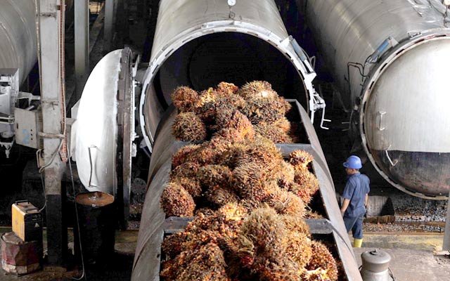 Earlier this week CPO prices slightly increased