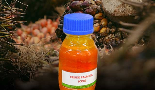 Indonesia's CPO Export Volume in March Drops 80,000 Tons: Stocks Increase