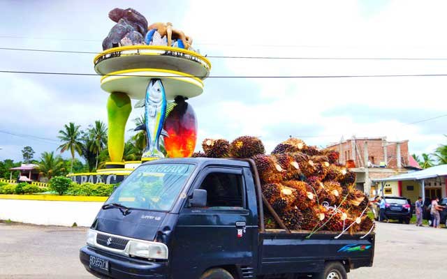 Infrastructure Program Escalated Planters’ Competitiveness and Additional Values