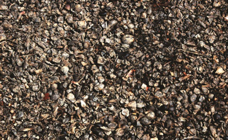 Equal to Coal : Calorie Pellet from Palm Oil Shell