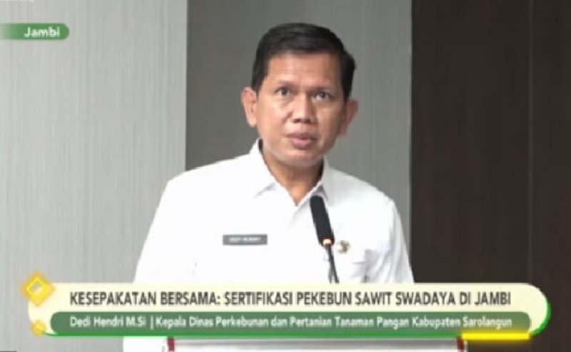 Independent Smallholders Should Implement Sustainable Practice in Sorolangun