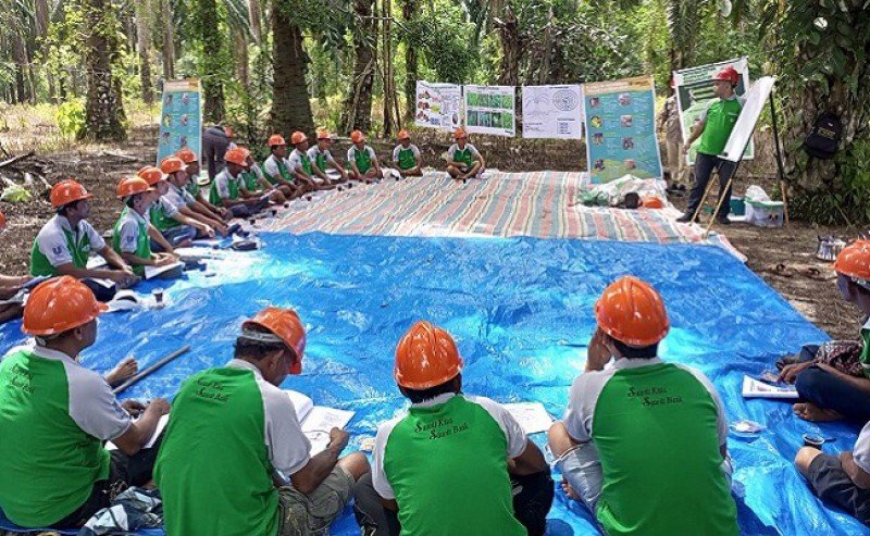 Learn about Sustainable Practices, 26 Independent Smallholders Joined Sekolah Lapangan