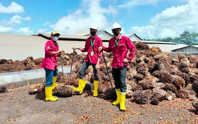 Rank 8 of Oil Palm Plantation Companies with the Highest Net Profits