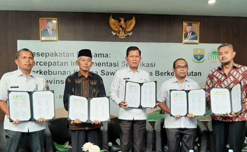 Stakeholders Boost ISPO and RSPO Certification in Jambi